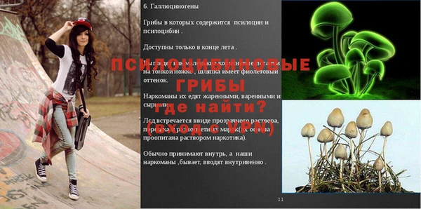 каннабис Арсеньев