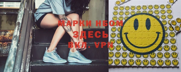 сатива Армянск
