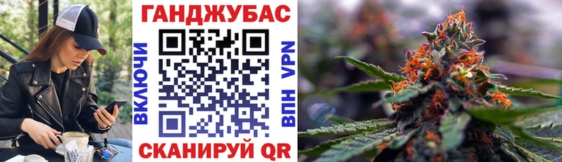 Конопля сатива  мега как зайти  Тырныауз 